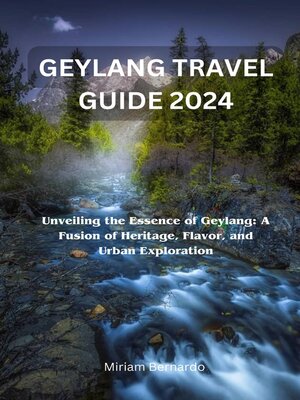 cover image of GEYLANG TRAVEL GUIDE 2024